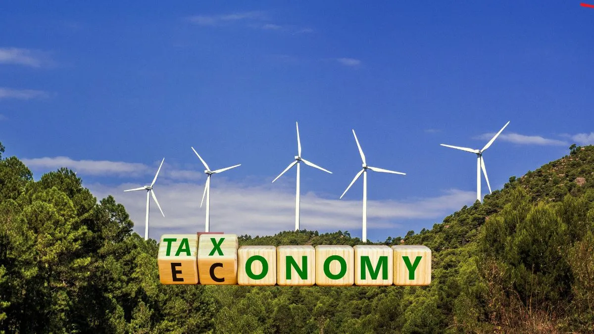 what-is-climate-finance-taxonomy-announced-in-budget-2024-how-will-it-boost-investment-in-energy-sector
